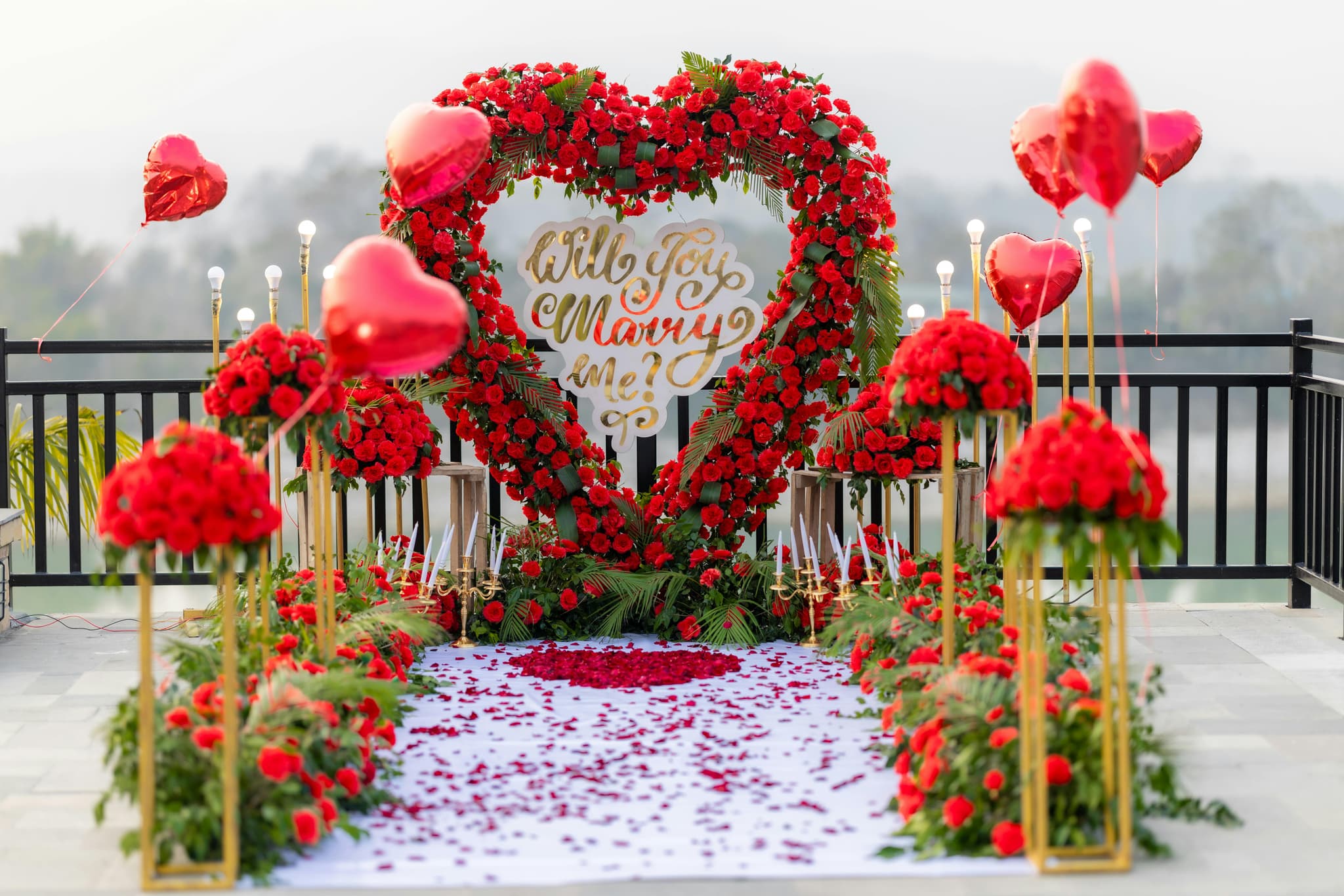 Proposal Arrange